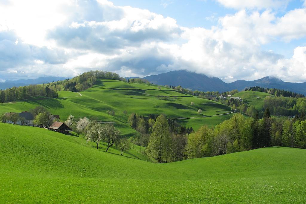 Tourist Farm Ljubica Villa Poljane nad Skofjo Loko Bagian luar foto
