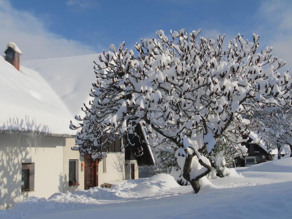 Tourist Farm Ljubica Villa Poljane nad Skofjo Loko Bagian luar foto