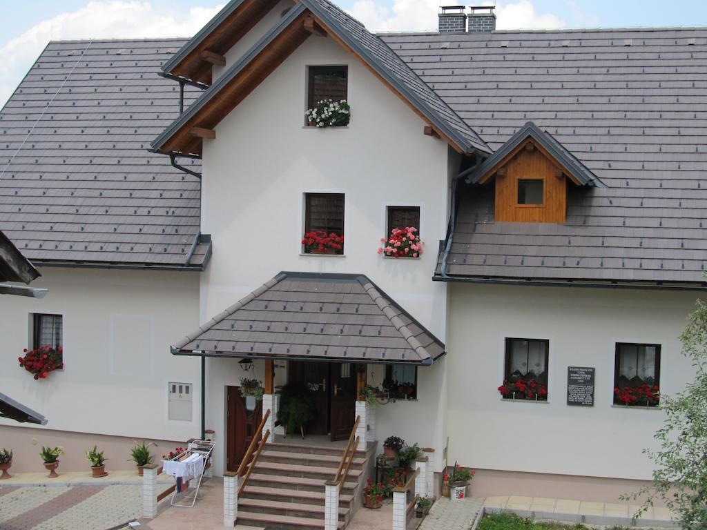 Tourist Farm Ljubica Villa Poljane nad Skofjo Loko Bagian luar foto