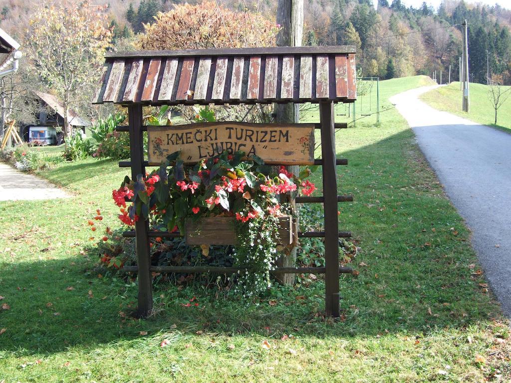 Tourist Farm Ljubica Villa Poljane nad Skofjo Loko Bagian luar foto