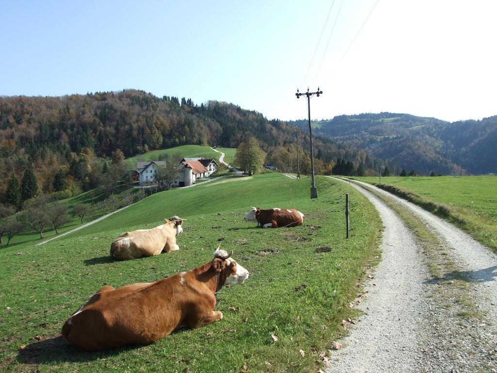 Tourist Farm Ljubica Villa Poljane nad Skofjo Loko Bagian luar foto