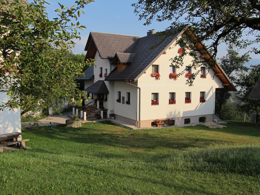 Tourist Farm Ljubica Villa Poljane nad Skofjo Loko Bagian luar foto